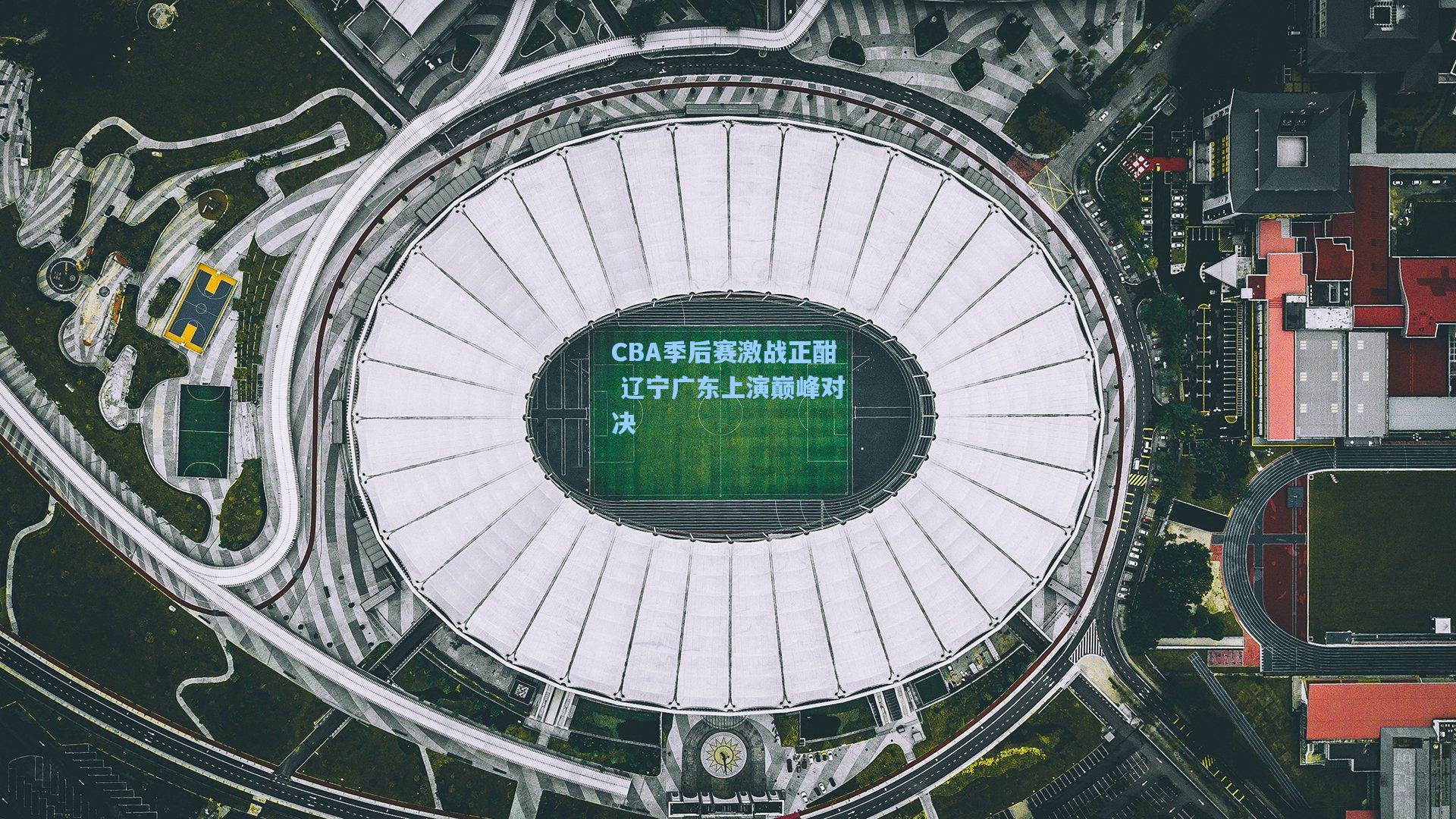 CBA季后赛激战正酣 辽宁广东上演巅峰对决